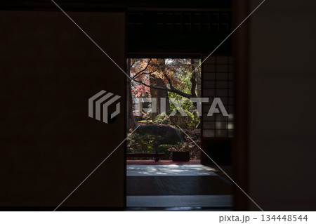 師走の光　江戸たてもの園の風景 134448544