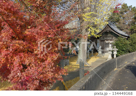 地域神社の晩秋 地域神社の晩秋 134449168