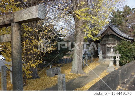 地域神社の晩秋 134449170