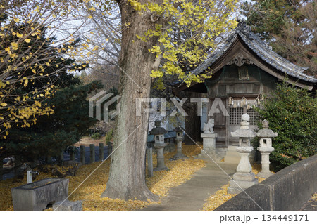 地域神社の晩秋 地域神社の晩秋 134449171