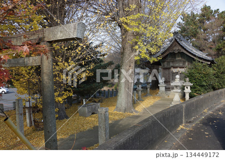地域神社の晩秋 地域神社の晩秋 134449172