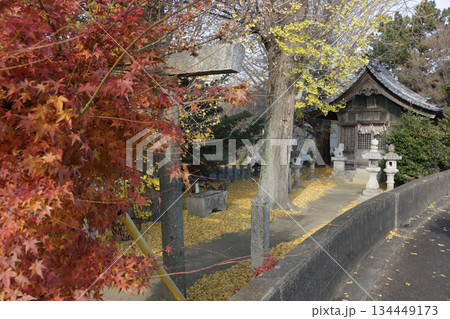 地域神社の晩秋 地域神社の晩秋 134449173