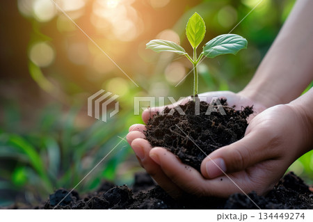 Ecology concept with human hands holding green sprout and plastic pollution in nature, environmental protection, generative AI. 134449274