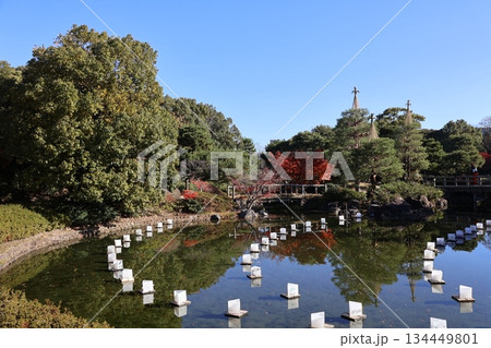 白鳥庭園、池の風景 白鳥庭園、池の風景 134449801