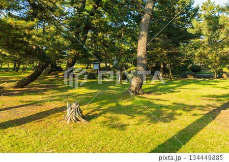 初夏の秋田県にかほ市　「奥の細道」最北の地　蚶満寺　 134449885