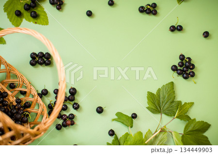 Natural currant berries in a basket and scattered on a green background 134449903
