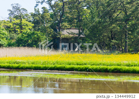 初夏の秋田県にかほ市 「奥の細道」最北の地 蚶満寺 山門 初夏の秋田県にかほ市 「奥の細道」最北の地 蚶満寺 山門 134449912
