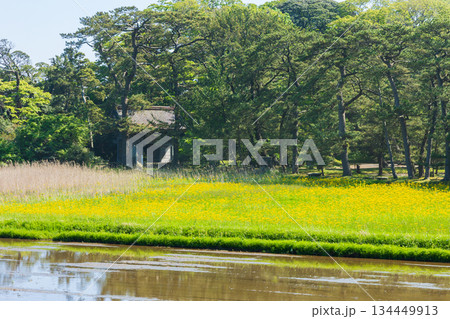 初夏の秋田県にかほ市 「奥の細道」最北の地 蚶満寺 初夏の秋田県にかほ市 「奥の細道」最北の地 蚶満寺 134449913