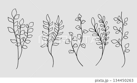 Hand drawn line art botanical leaves and flower elements collection. 134450263