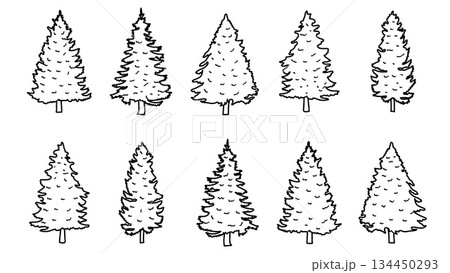 Pine Tree Doodles Illustration Hand Drawn Line Art Set Outline Collection.Vector Elements Pine Tree Doodles Illustration Hand Drawn Line Art Set Outline Collection.Vector Elements 134450293