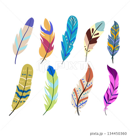 feather exotic bird set cartoon vector illustration feather exotic bird set cartoon vector illustration 134450360