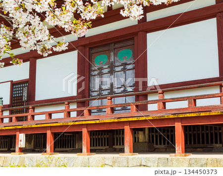 【奈良県】大和郡山市 矢田寺(金剛山寺) (2025/04/09撮影) 134450373