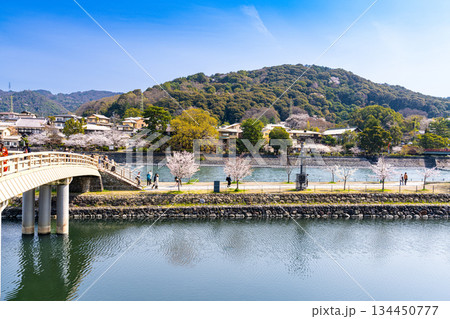宇治川と大吉山の春の風景1 京都府宇治市 宇治川と大吉山の春の風景1 京都府宇治市 134450777