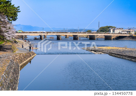 宇治川と宇治橋の春の風景　京都府宇治市 134450778