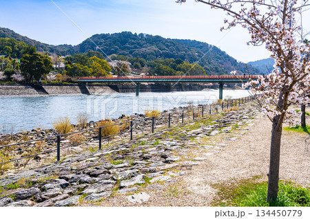 宇治川と朝日山の春の風景　京都府宇治市 134450779