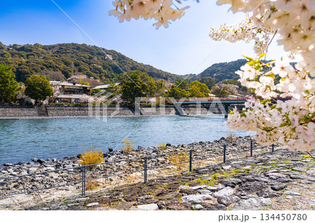 宇治川と大吉山の春の風景2 京都府宇治市 宇治川と大吉山の春の風景2 京都府宇治市 134450780
