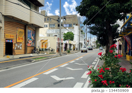 沖縄　石垣島　石垣市　大川（西）周辺の風景 134450909