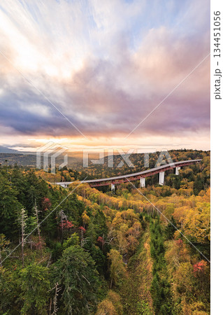 北海道・松見大橋の絶景　紅葉の森と広がる雲海 134451056