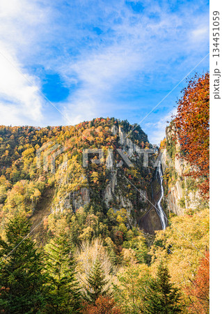 大雪山の渓谷美　紅葉と銀河の滝・流星の滝 134451059