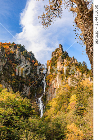 北海道層雲峡の絶景　秋の銀河の滝と流星の滝 134451060