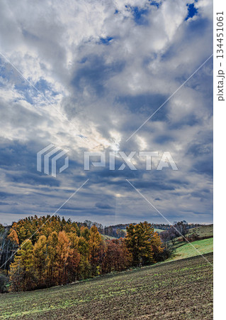 美瑛の丘に広がる秋雲と農村風景 134451061
