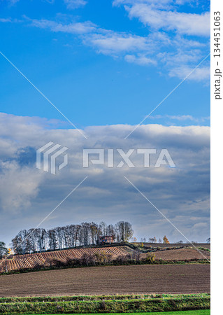 秋空が広がる美瑛の丘陵風景 134451063