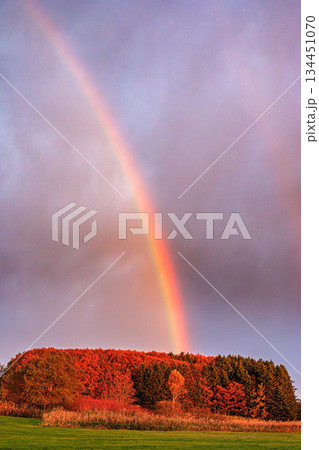 秋色の森に架かる虹 134451070