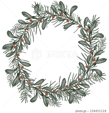 Watercolor Christmas or new year wreath with fir branches and place for text. Illustration for greeting cards with and invitations isolated on white background. Tree branches and red berry of ilex. 134451119
