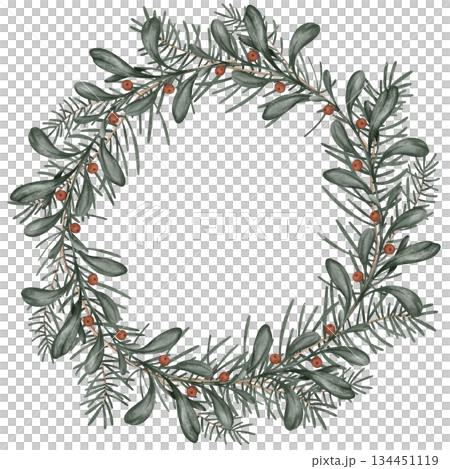 Watercolor Christmas or new year wreath with fir branches and place for text. Illustration for greeting cards with and invitations isolated on white background. Tree branches and red berry of ilex. 134451119