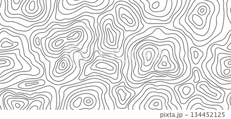 Seamless pattern topographic contour map. Landscape geodesy topography map. Background with contour landscape. 134452125