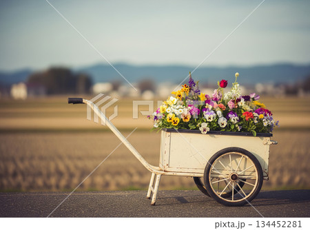 田園風景に映える色鮮やかな花々を載せた白いリヤカー 134452281