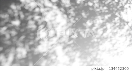 Gobo light effect with leaf shadows on white wall Gobo light effect with leaf shadows on white wall 134452300