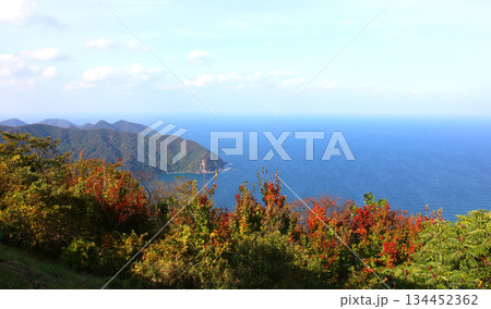三方テラス　三方五湖レインボーライン　山頂公園　日本海　水月湖　日向湖　菅湖　久々子湖　若狭湾 134452362