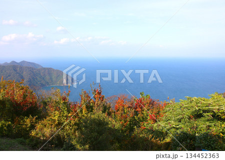 三方テラス　三方五湖レインボーライン　山頂公園　日本海　水月湖　日向湖　菅湖　久々子湖　若狭湾 134452363