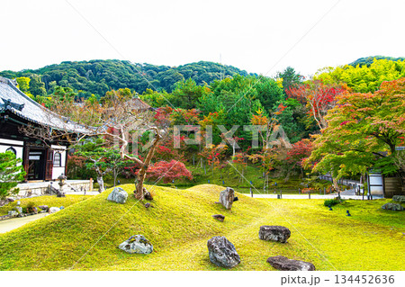 京都、高台寺の庭園 134452636
