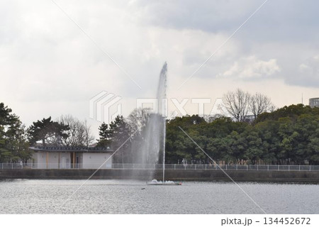 野鳥の楽園　伊丹市　昆陽池公園　噴水 134452672
