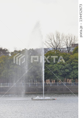 野鳥の楽園　伊丹市　昆陽池公園　噴水 134452673