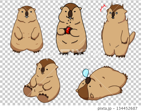 各種土撥鼠插圖集 各種土撥鼠插圖集 134452687