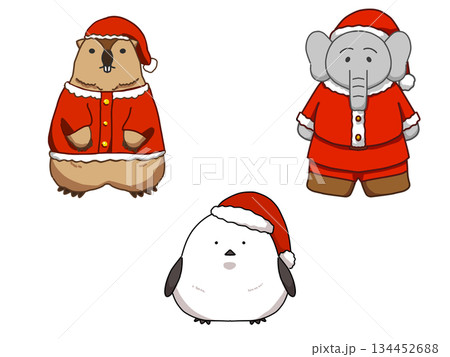 かわいいサンタ動物3匹のイラストセット 134452688