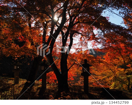談山神社の紅葉 134452799