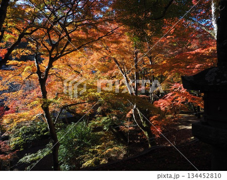 談山神社の紅葉 134452810
