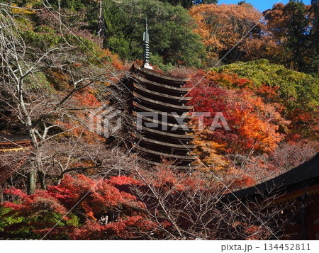 談山神社の紅葉 談山神社の紅葉 134452811