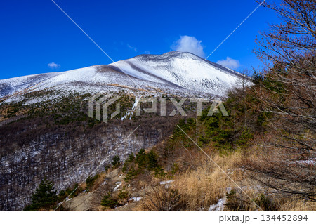 冠雪の浅間山 冠雪の浅間山 134452894