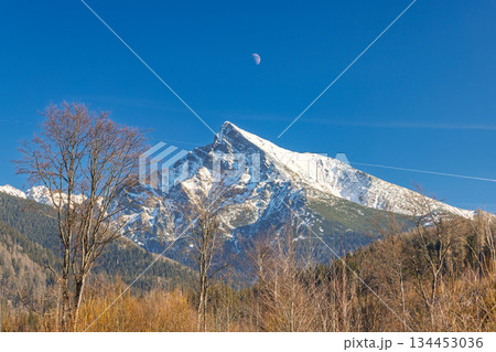 Krivan mountain in High Tatras National Park, Slovakia, Europe. Majestic snowy peak in the distance under a clear blue sky with leafless trees adding texture to the serene landscape. Krivan mountain in High Tatras National Park, Slovakia, Europe. Majestic snowy peak in the distance under a clear blue sky with leafless trees adding texture to the serene landscape. 134453036