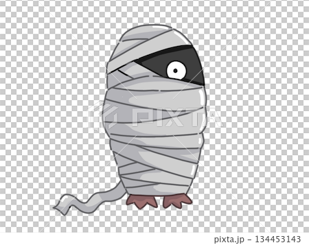 包帯に巻かれたペンギンのイラスト 包帯に巻かれたペンギンのイラスト 134453143