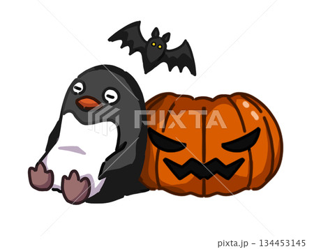ハロウィンカボチャを枕にするペンギンイラスト 134453145