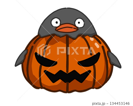 ハロウィンの仮装をするペンギンのイラスト ハロウィンの仮装をするペンギンのイラスト 134453146