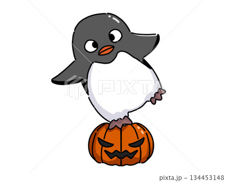ハロウィンカボチャでバランスをとるペンギンのイラスト 134453148