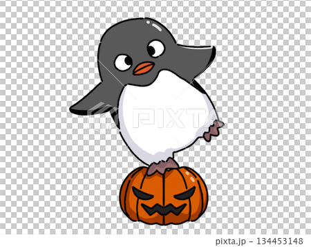 ハロウィンカボチャでバランスをとるペンギンのイラスト 134453148