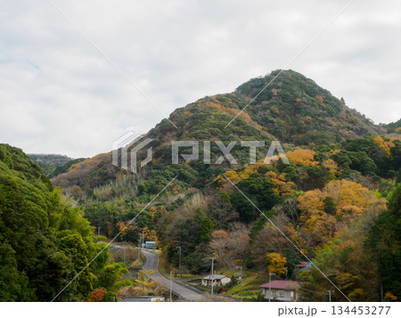 懐かしさが続く山間の道 記憶を辿る静かな旅路 Nostalgic Mountain Road 134453277